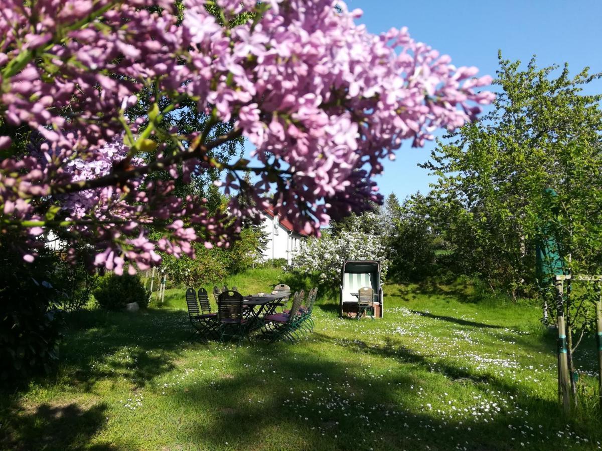 Wirtshaus Neuenkirchen Otel Neuenkirchen auf Rugen Dış mekan fotoğraf